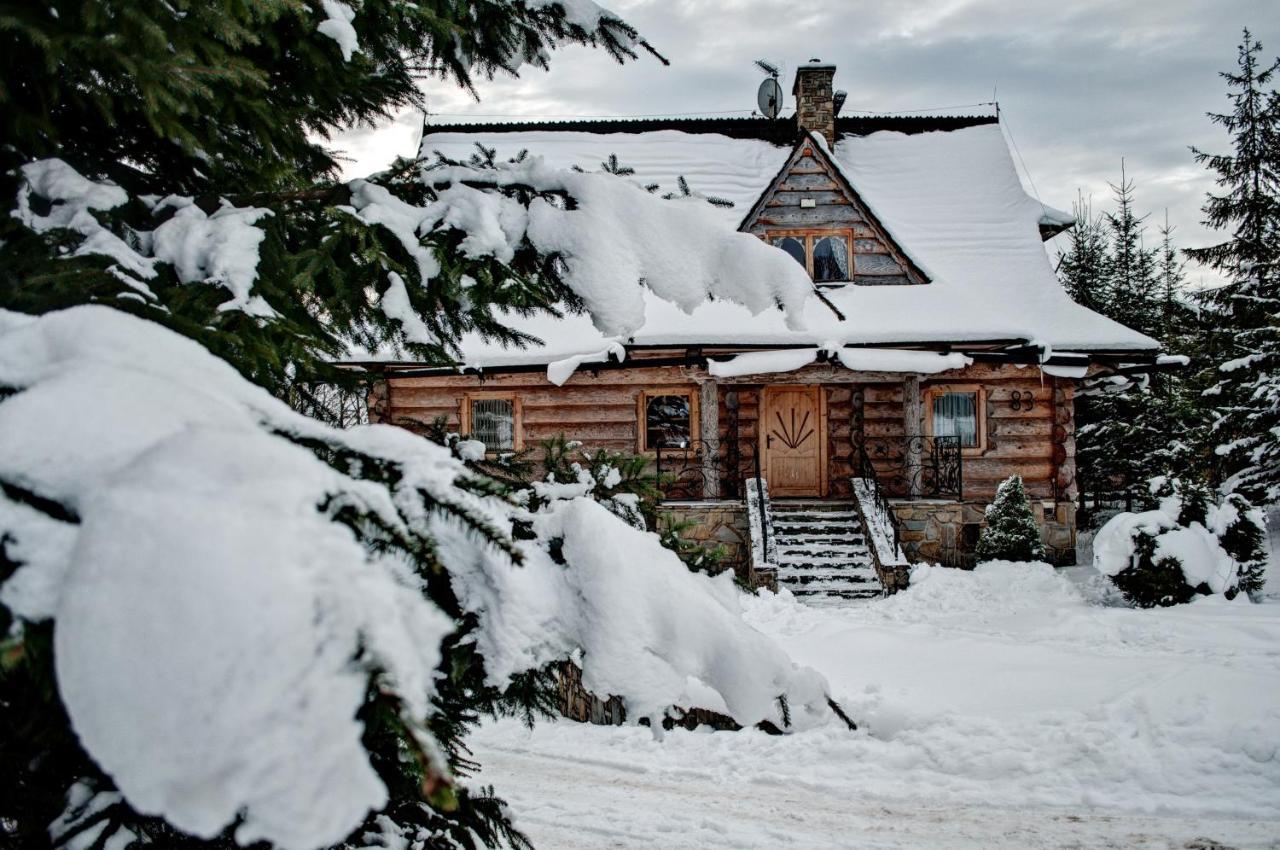 Willa Sawa - Rysulowka Kościelisko Exterior foto
